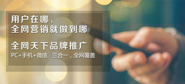 全网天下 借助网络实现品牌推广的多元策略
